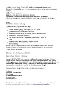 Strafanzeige_Polizei_Schifferstadt_20122_Presse_Version_redigiert-002-002